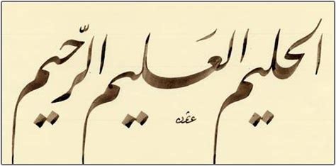 muhammed elhalim|HALÎM .